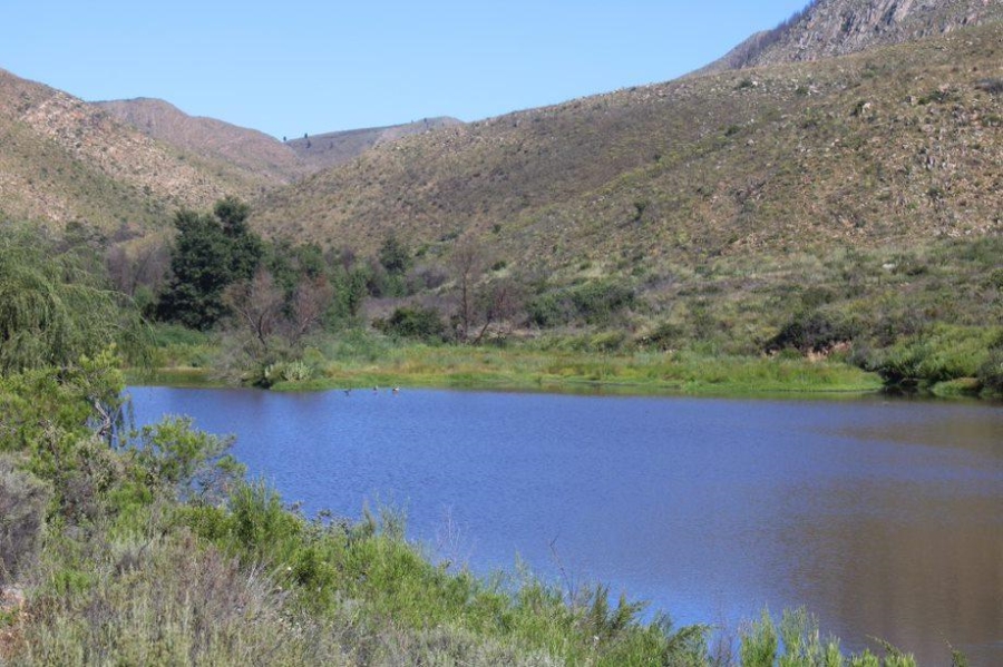 0 Bedroom Property for Sale in Haarlem Western Cape